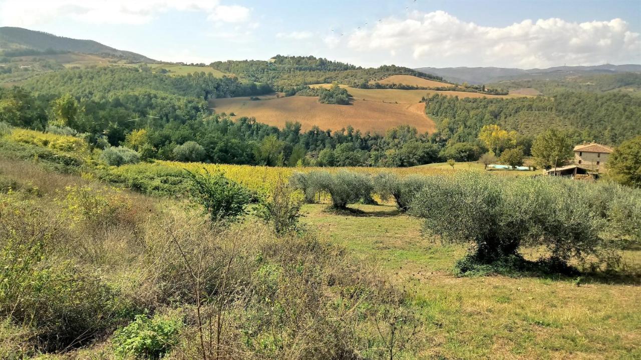 Campo Al Vento - Country Farm Villa Monte Castello di Vibio Eksteriør bilde